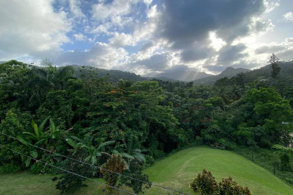 Rainforest Retreat 15 Min From The Beach Luquillo Exteriör bild