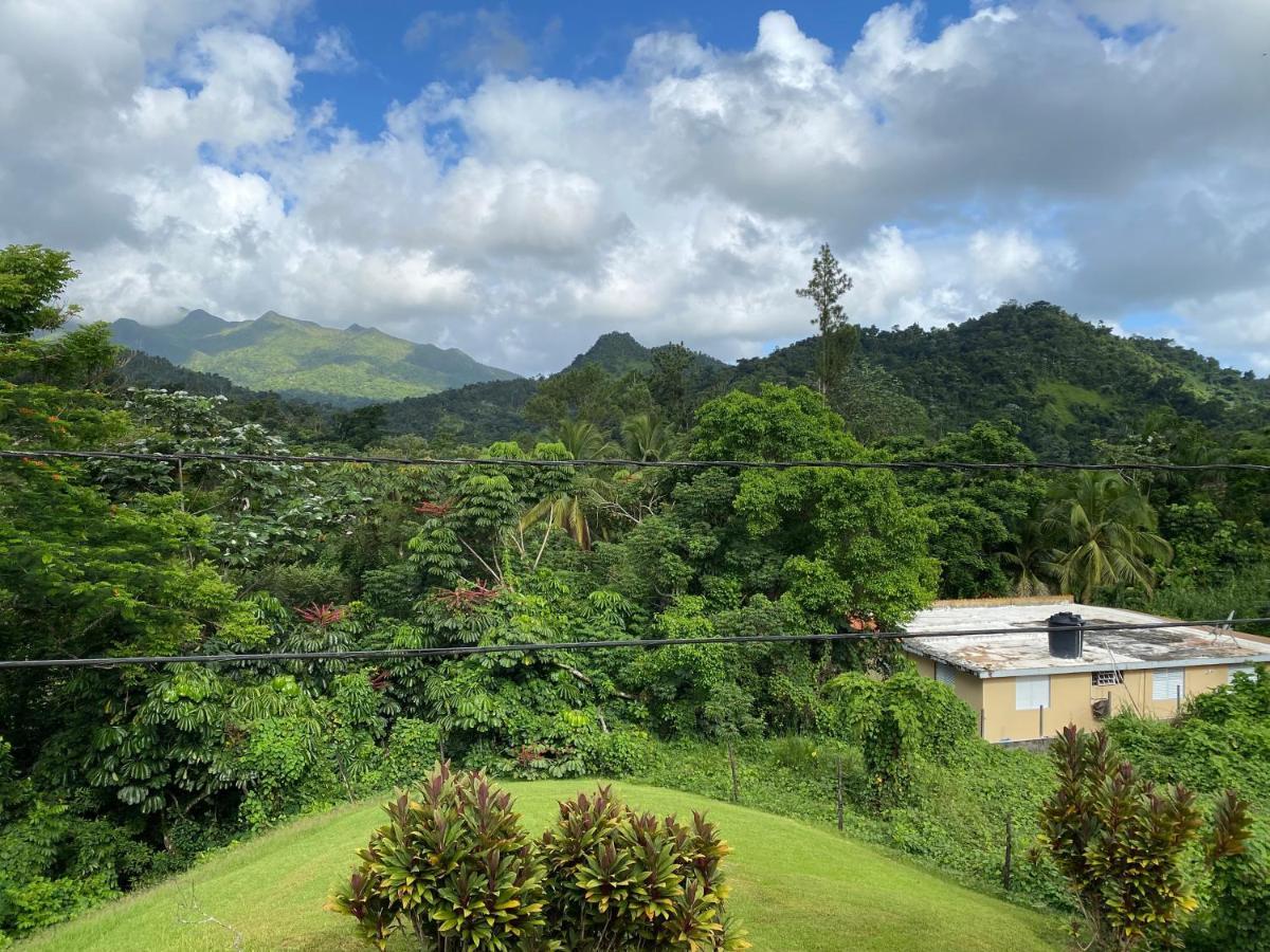 Rainforest Retreat 15 Min From The Beach Luquillo Exteriör bild