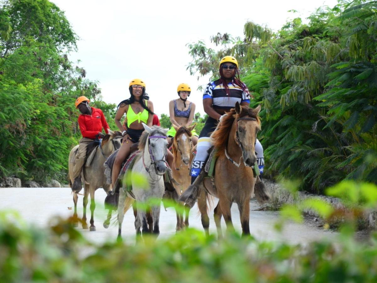 Rainforest Retreat 15 Min From The Beach Luquillo Exteriör bild