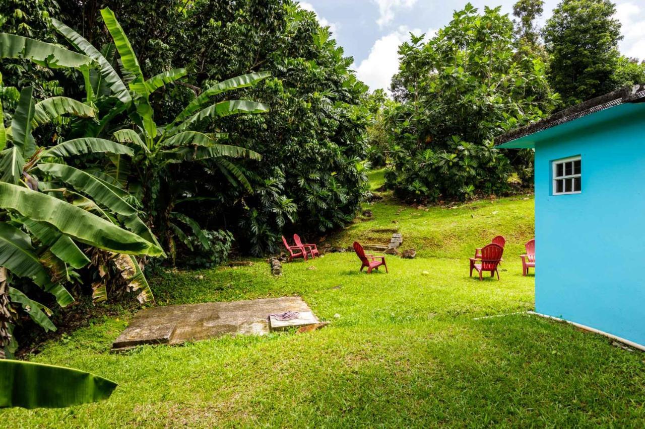 Rainforest Retreat 15 Min From The Beach Luquillo Exteriör bild