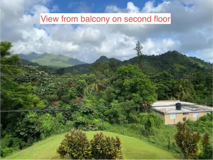 Rainforest Retreat 15 Min From The Beach Luquillo Exteriör bild